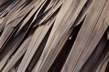 Beautiful of brown dried leaves background or texture