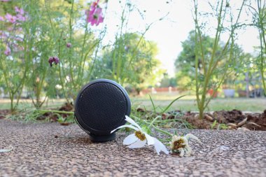 Bluetooth speaker on hand and cosmos flowers