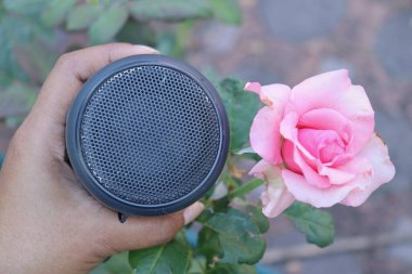 Bluetooth speaker on hand and pink flowers