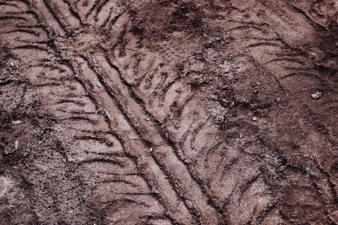 Toprak yol arkaplanı veya desen üzerindeki tekerlek izleri