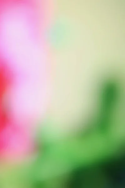 Розмиті Рожево Зеленим Фоном Або Текстурою — стокове фото