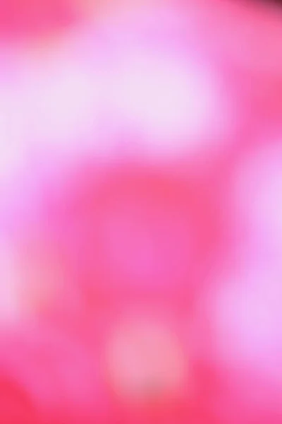 Blurred Pink Background Texture — Stock Photo, Image