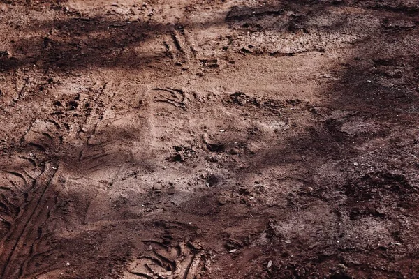 Toprak yol arkaplanı veya desen üzerindeki tekerlek izleri