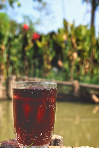 Cola Minum Dengan Batu Taman — Stok Foto