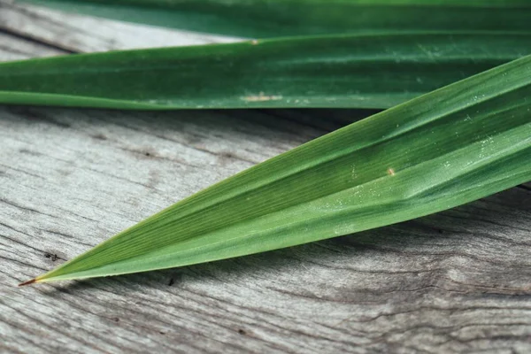 Ahşap arka planda yeşil pandan yaprakları