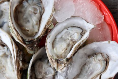 Tahta arka planda taze istiridye ve deniz ürünleri.