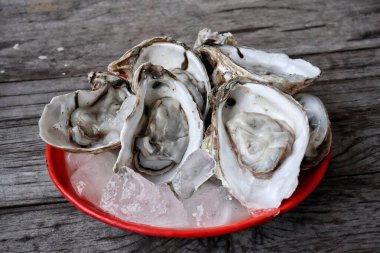 Tahta arka planda taze istiridye ve deniz ürünleri.