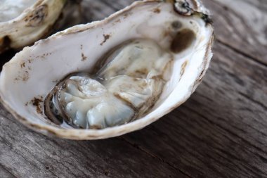 Tahta arka planda taze istiridye ve deniz ürünleri.