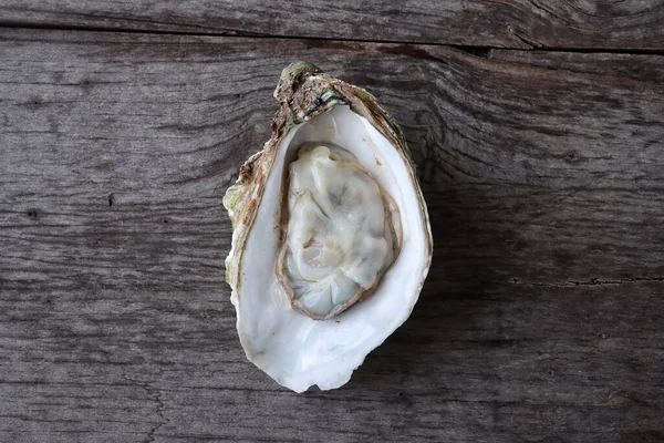 Fresh Oyster Shell Seafood Wood Background — Stock fotografie