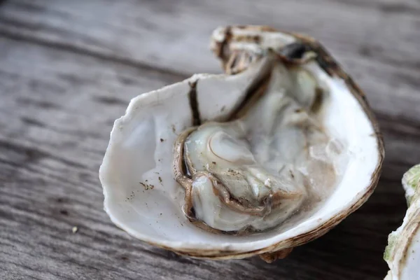 Fresh Oyster Shell Seafood Wood Background — Stock fotografie