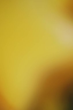 Altın arka plan veya doku bulanık