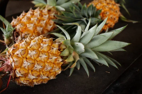 Pineapple Tropical Fruit Black Background — Stock Photo, Image