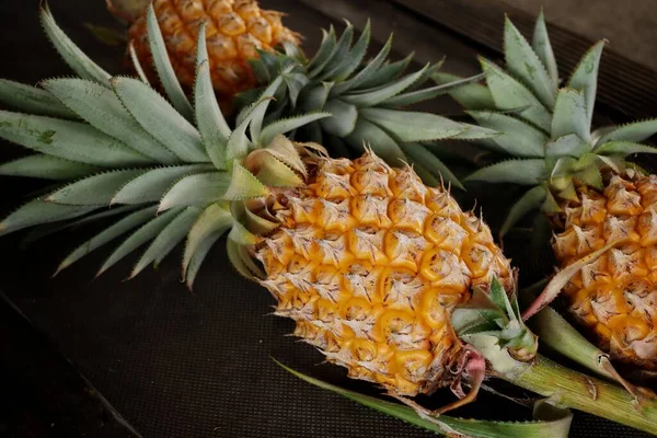 Ananas Frutta Tropicale Sfondo Nero — Foto Stock