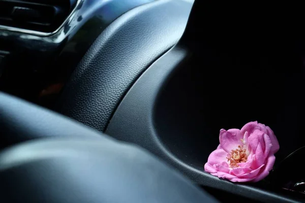 Beautiful of rose flower in the car