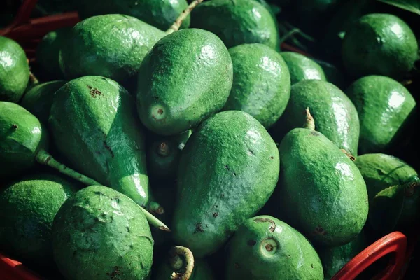 Yeşil Taze Avokado Tropikal Meyve — Stok fotoğraf