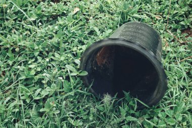 Ot ve yeşil çimenler geride iz bırakır