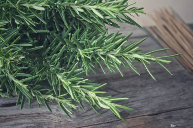 Taze biberiye bitkisine yakın çekim