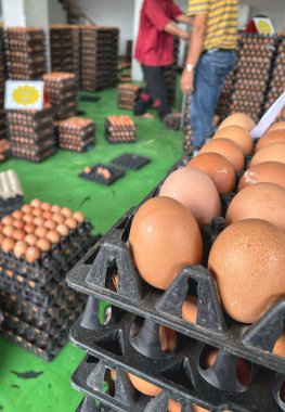 Chicken eggs in the market Thailand