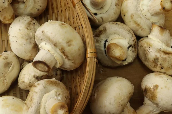 Champignon Mushrooms Wood Background — Stock Photo, Image