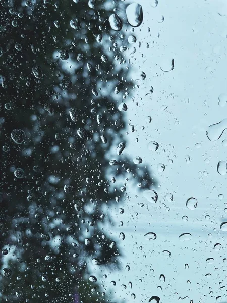 Close Water Drop Rain — 图库照片