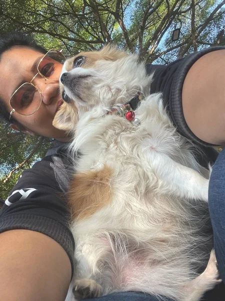 Selfie Van Leuke Chihuahua Hond Haar — Stockfoto