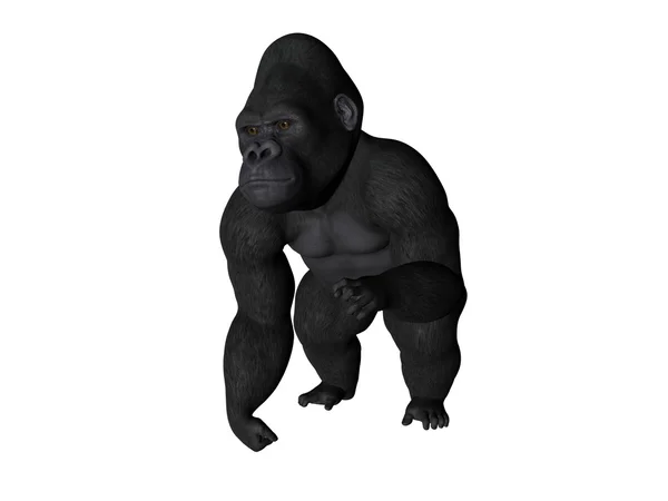 Gorila —  Fotos de Stock