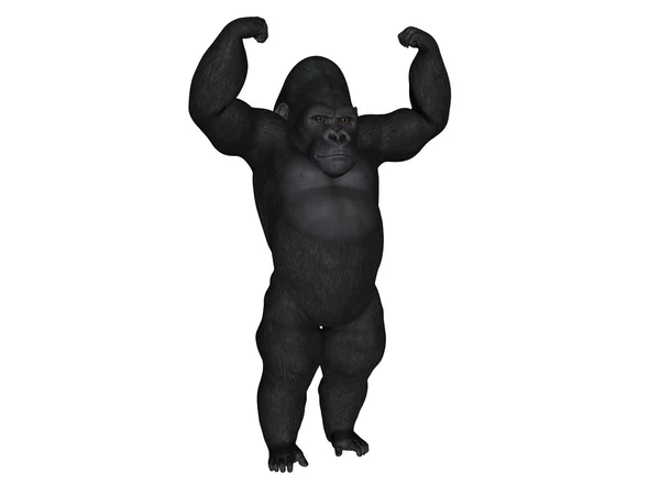 Gorilla — Stockfoto