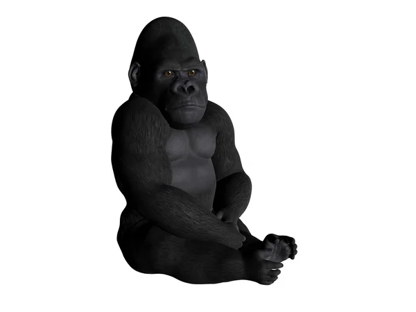 Gorilla — Stockfoto