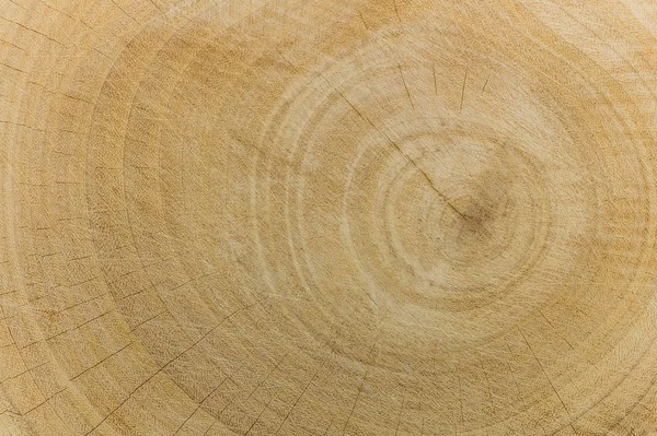 Textura de grano de madera áspera —  Fotos de Stock
