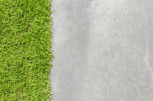 Fresh green grass with polished cement surface — Stock Photo, Image