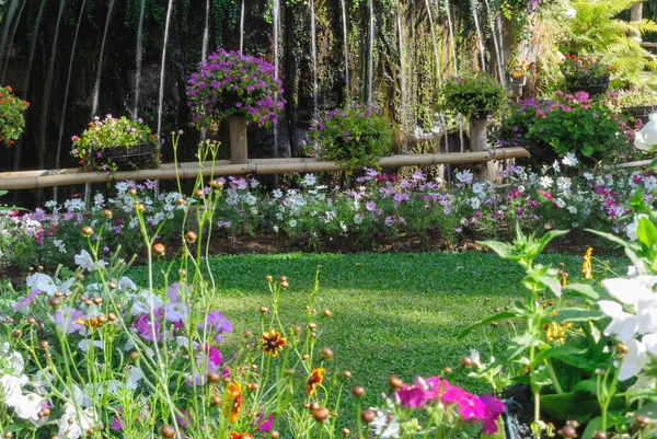 Giardino fiorito con erba e fontana — Foto Stock