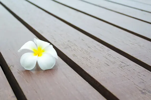 Белый желтый цветок на полу в полоску дерева — стоковое фото