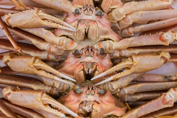 japanese big crab