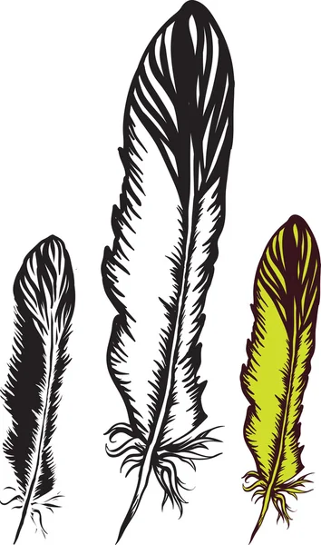 Καλλιτεχνική πουλί μελάνι φτερό — Διανυσματικό Αρχείο