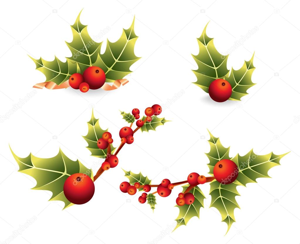 The holly branch and berry christmas decorative elements