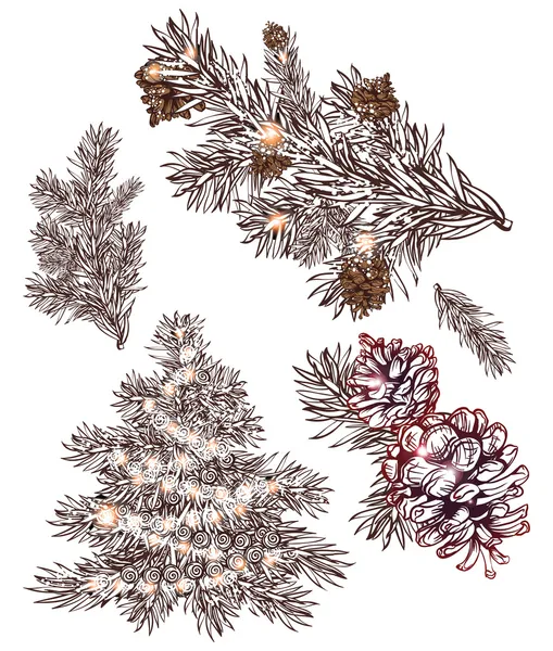 Kézzel rajzolt karácsonyi dekorációs elemek összessége. fenyő fa fenyő ága, fenyőtoboz — Stock Vector
