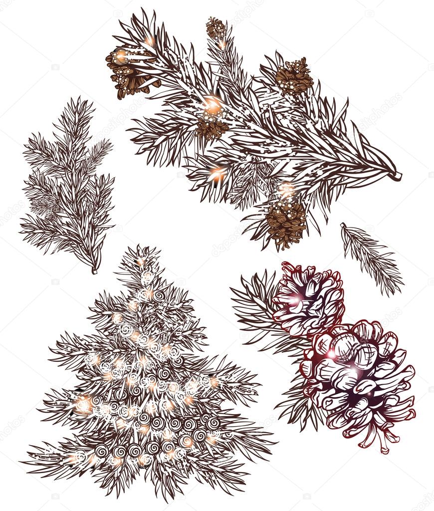 Set of hand drawn christmas decoration elements. pine tree pine branch, pine cone