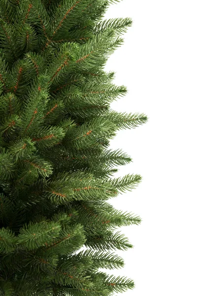 Tree — Stock Photo, Image