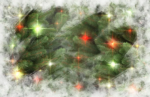 Christmas trees — Stock Photo, Image