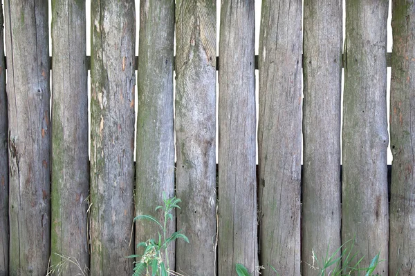 Fence — Stock Photo, Image