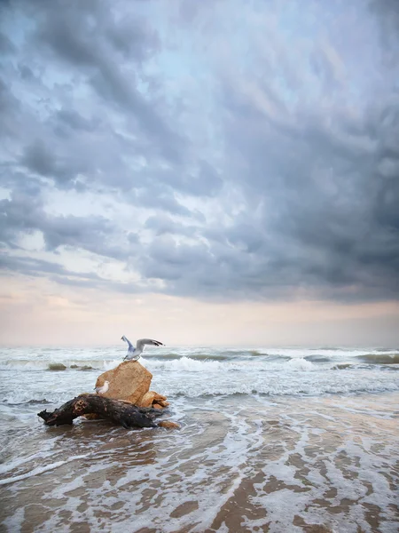 Paisaje — Foto de Stock