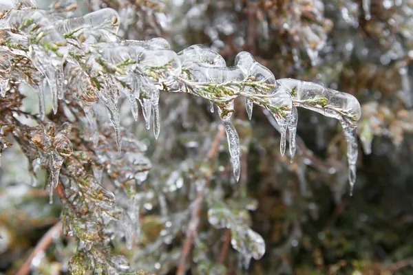 Icicles — Stock Photo, Image