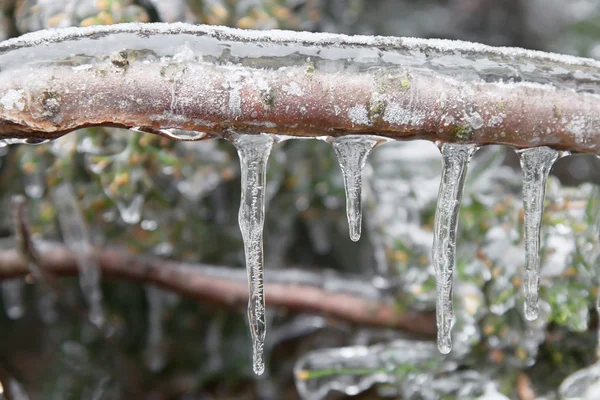 Icicles — Stock fotografie