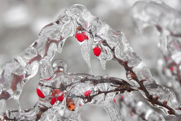 Icicles — Stock Photo, Image