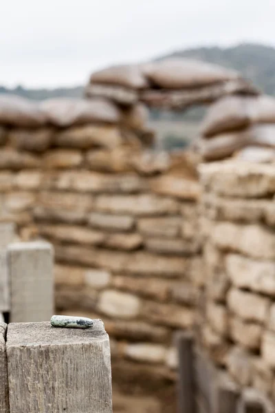 Vieille balle en position de combat défensif à Alcubierre, Espagne — Photo