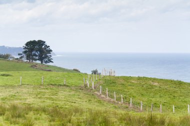 çitler ve ağaçları yeşil çayır ın bulutlu gökyüzü ve deniz tarafından