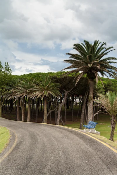 Banco azul y camino en los jardines del Palacio Magdalena —  Fotos de Stock