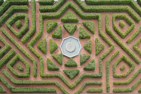 Labyrinthe de haies — Photo