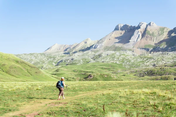 Walking in the spanish pyrenees — Stock Photo, Image