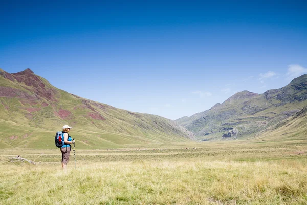 Admirando a paisagem — Fotografia de Stock